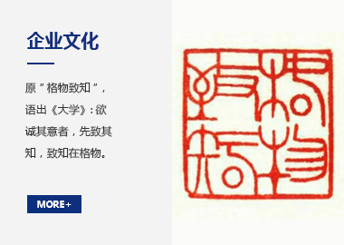 企業(yè)文化與核心價(jià)值觀(guān)